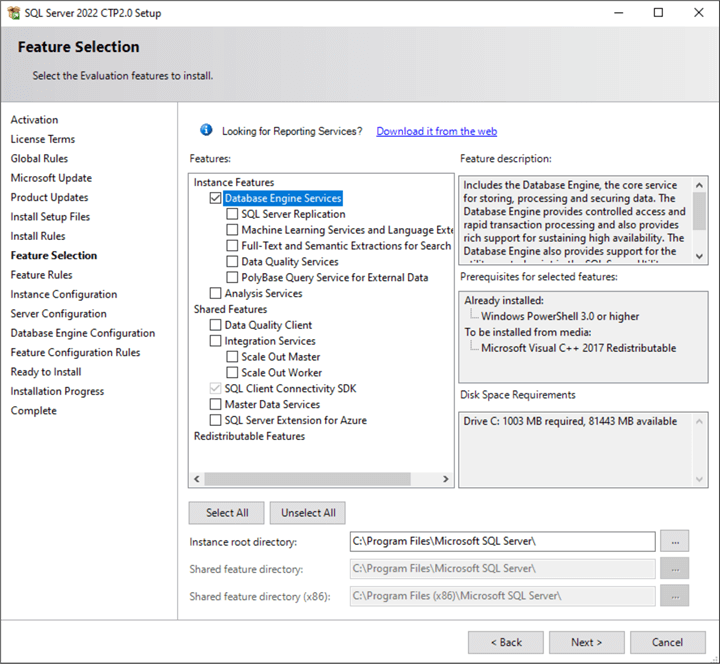 SQL Server Feature Selection