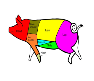 partitioned views - image of pig parts