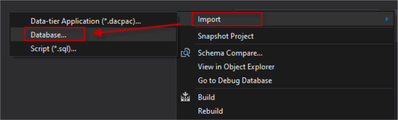 visual studio import database objects