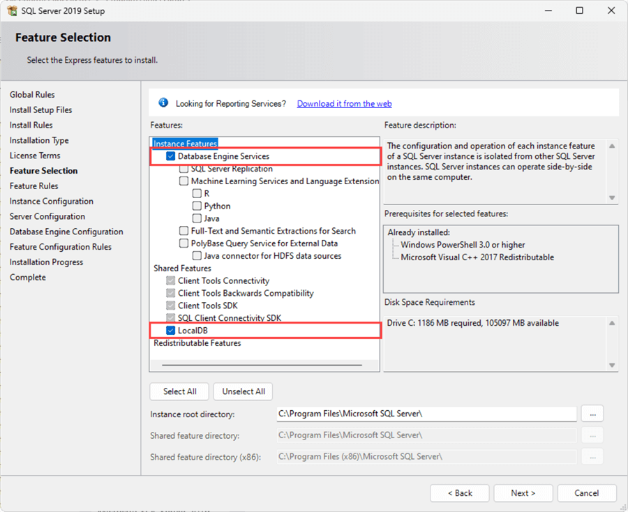 sql sever 2019 express edition install feature selection