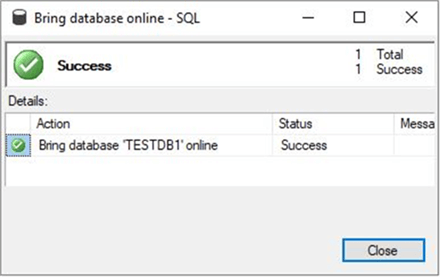 Make SQL database Online