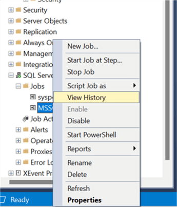Right-click on you job and choose View History