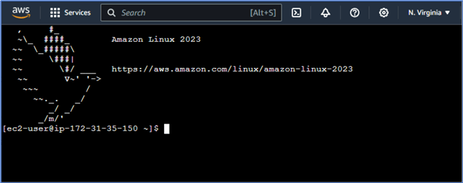 Figure 20 Connect the master node using the Amazon EC2 console.