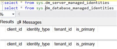 dm_server_managed_identities