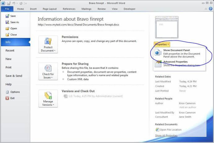 Show Document Panel option in Word 2010