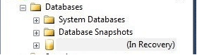 If you have ever started SQL Server from a failure you may have noticed databases in the (In Recovery) mode.