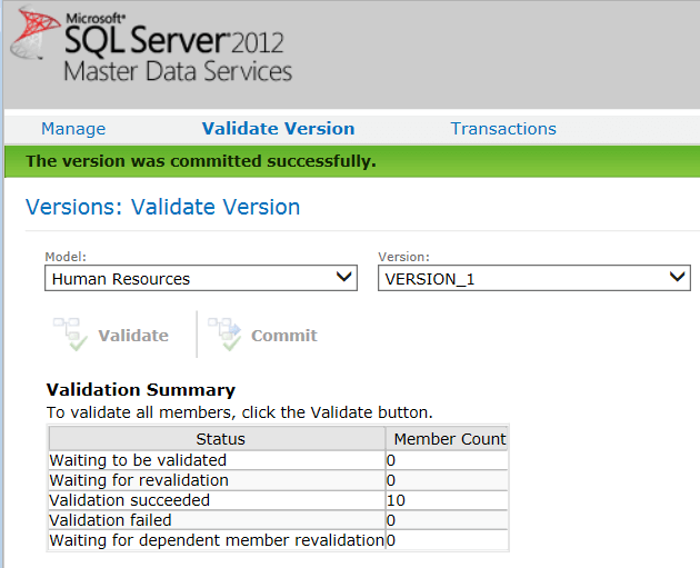 SQL Server Master Data Services Model Validation