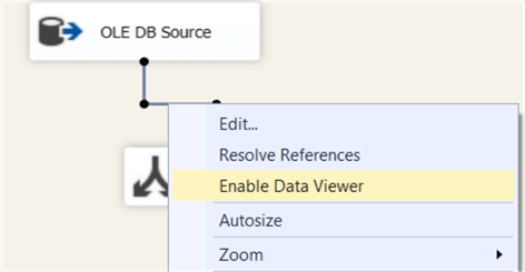 enable data viewer for the SSIS Data Flow