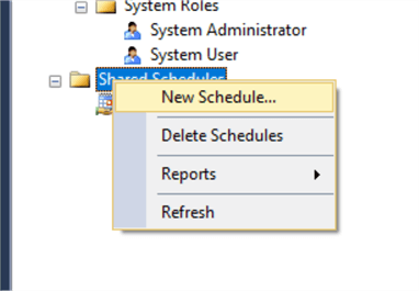 sql server reporting services role assignment