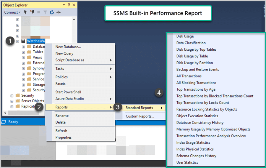SSMS Built-in Reports