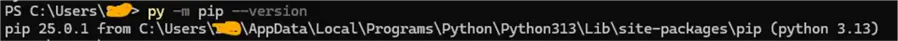 Python version check