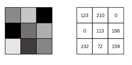 Grayscale image and corresponding pixels