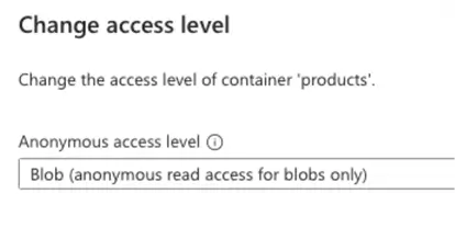 Blob storage permissions for this demo