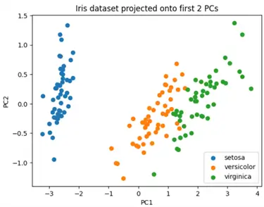 Iris dataset visualized