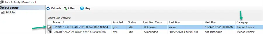SQL Server Agent job under the “Report Server” category