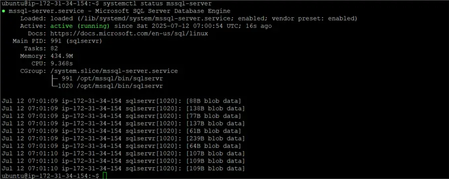 install sql server 2025 for linux