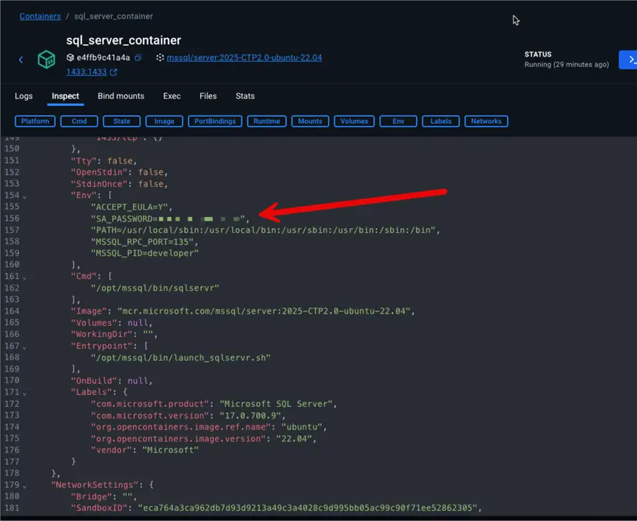 Checking SA password for our container