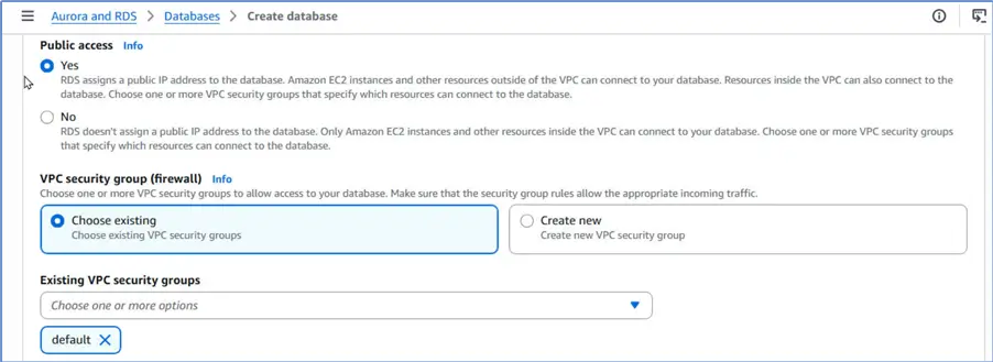 Choose VPC and public access