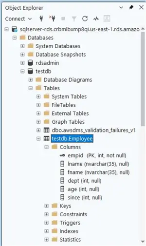 The table has been migrated to SQL Server