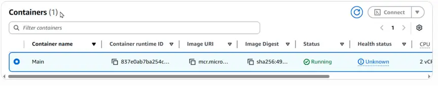 Task Container/s