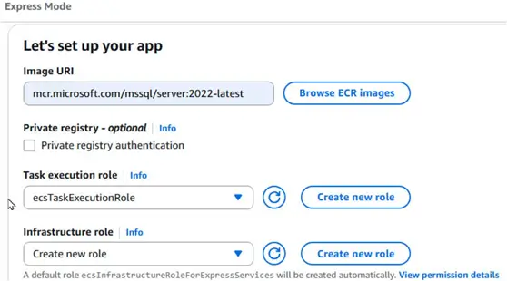 Task execution role