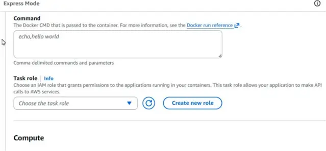 Optional CMD and Task role