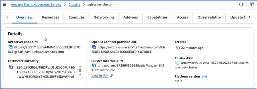 API Server endpoint