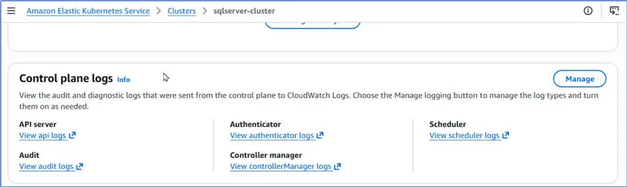 Control plane logs