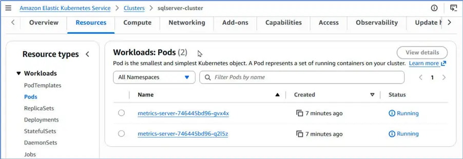 Workload pods