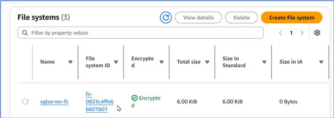 File system created