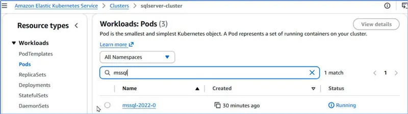 SQL Server pod running