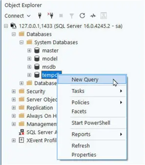 New Query