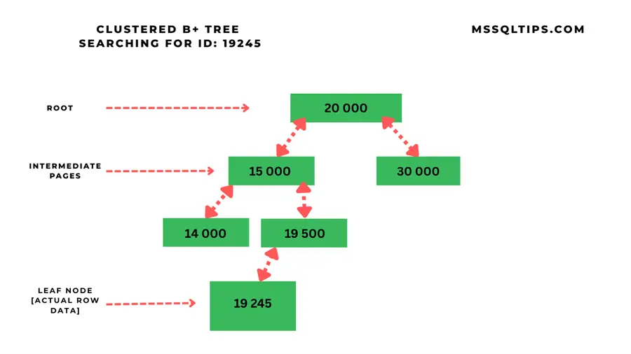clustered index B+ tree.