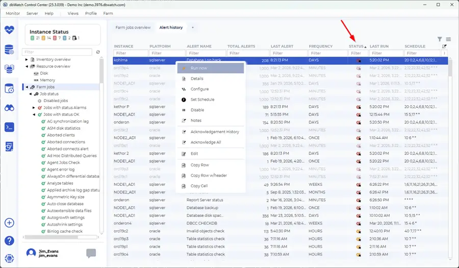 Screenshot of the Job Status Screen showing instance status and alert history with detailed columns for platform, alert name, total alerts, last alert, frequency, status, last run, and schedule.