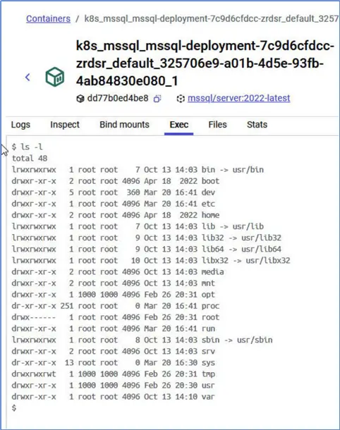 Running the ls -l command to list files in Exec tab