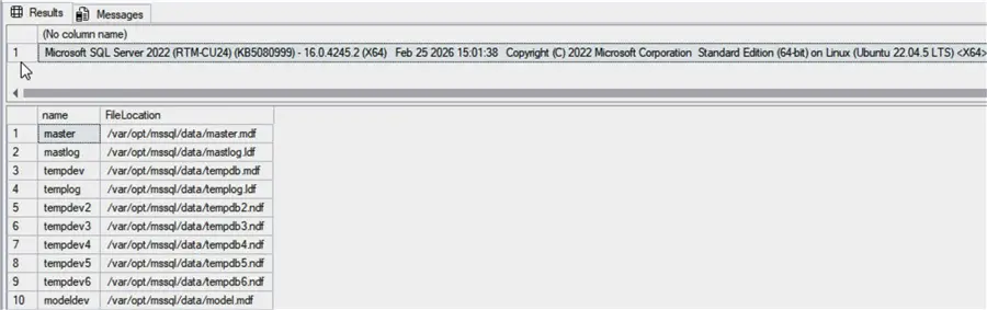 Server version and container file system