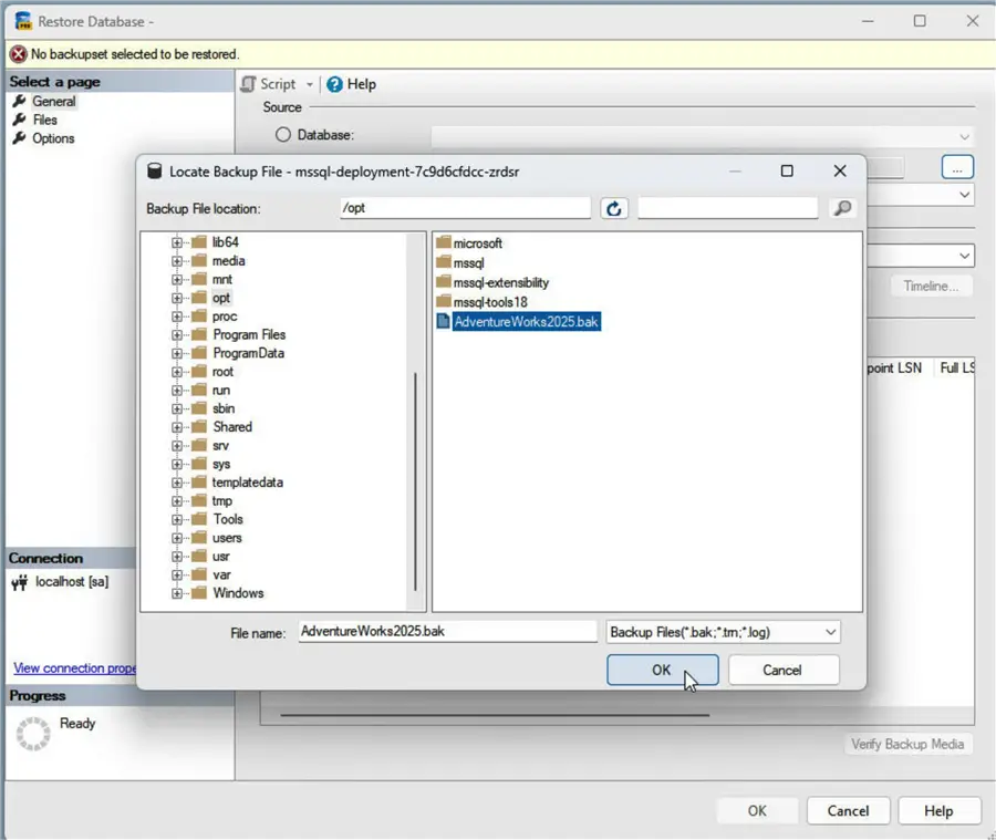 Selecting Backup file in the /opt directory