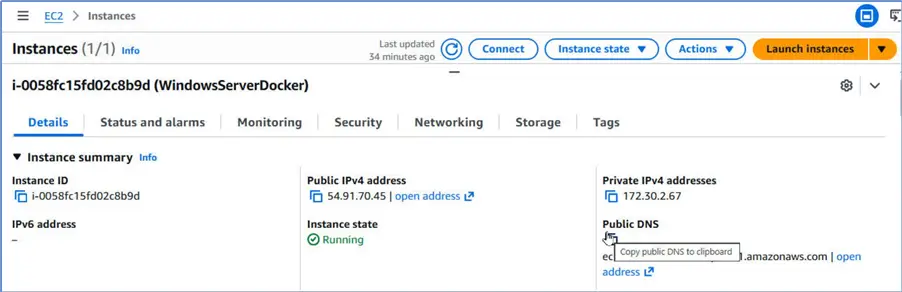 Copy Public DNS