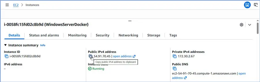 Copy Public IPv4 address