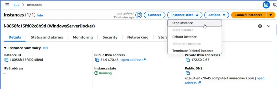 Stop Windows Server instance