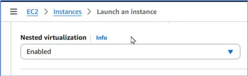 Enable nested virtualization