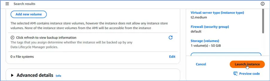 Launch instance