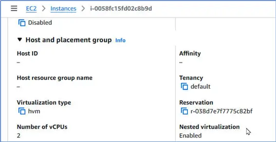 Esure nested virtualization