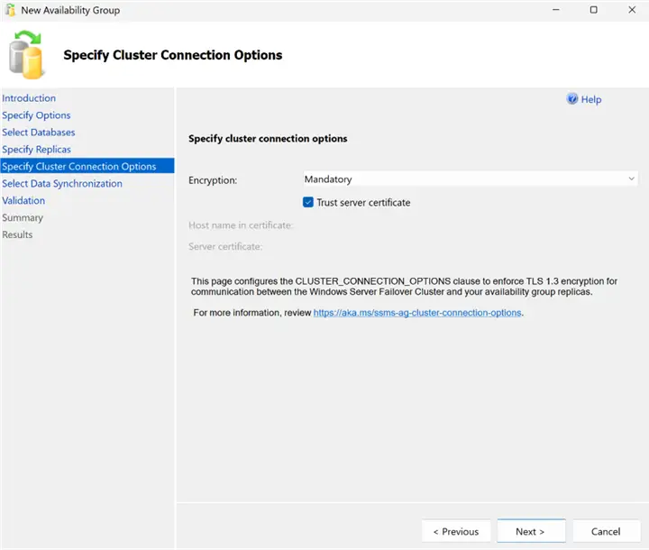 New AG Wizard - Specify Cluster Connection Options