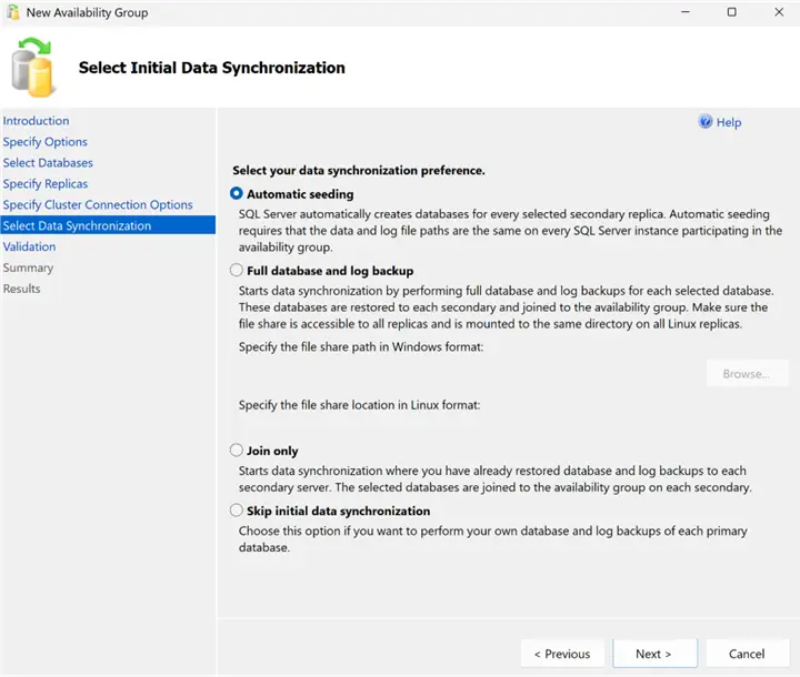 New AG Wizard - Select Initial Data Synchronization