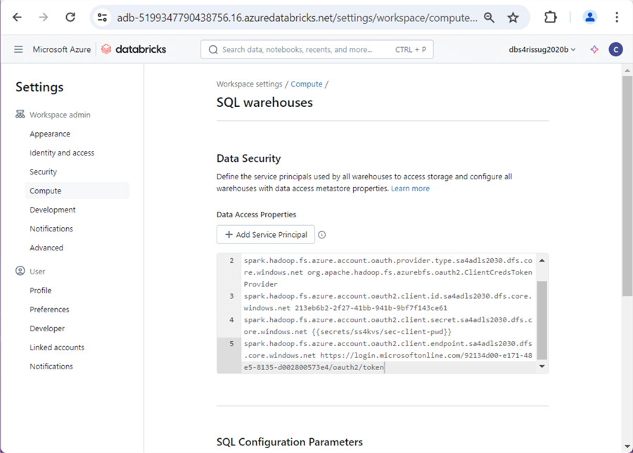 Databricks SQL Warehouse - Spark Cluster startup entries generated by previous dialog box.