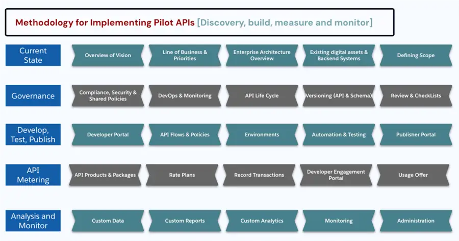 Methodology for Implementing Pilot APIs