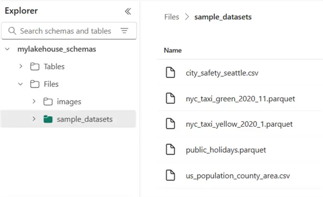 sample data in the lakehouse