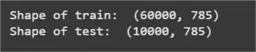 Shape of dataset output