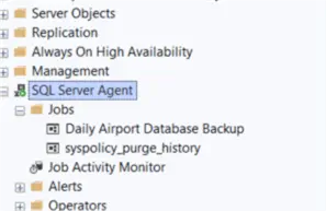 Agent View